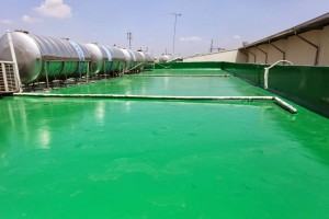 Sơn trần nhà Epoxy