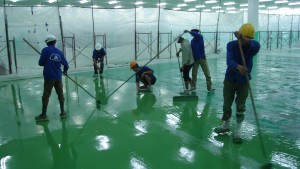 Thi công sơn Epoxy chuyên nghiệp