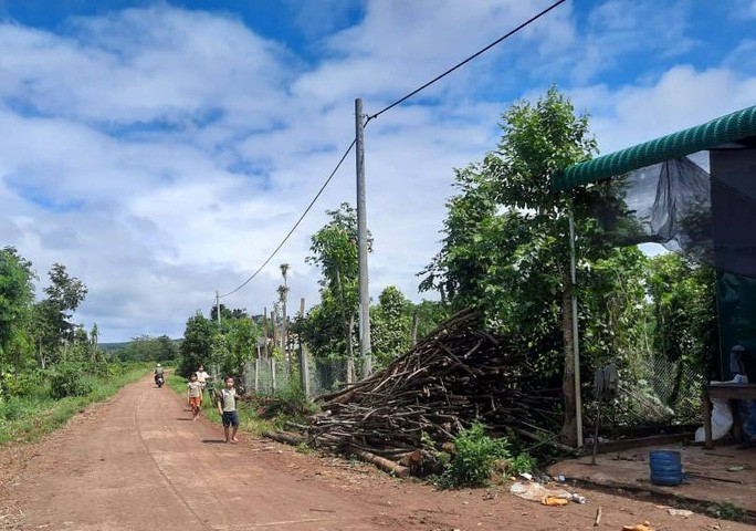 Chết thèm vì dây điện chạy trên đầu mà… không có điện! - Ảnh 1. Chết thèm vì dây điện chạy trên đầu mà… không có điện! - Ảnh 1.