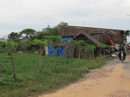 xã Xuân Thới Thượng, huyện Hóc Môn 