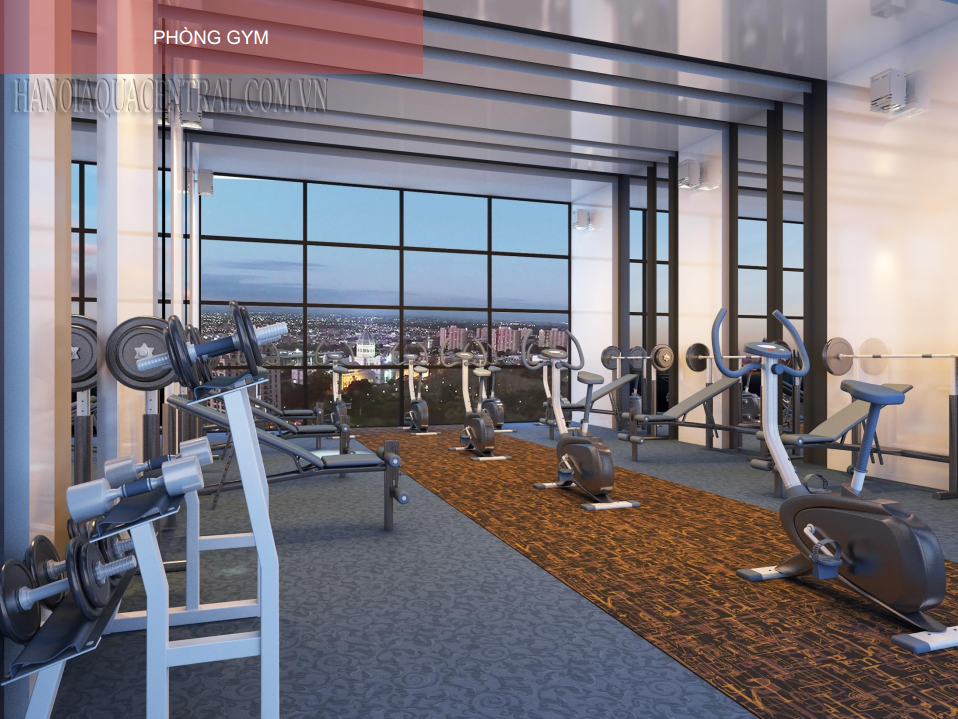 phòng gym chung cư ha noi aqua central