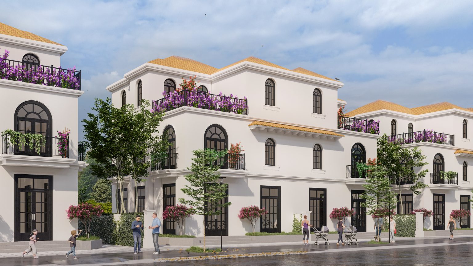 shopvillas trà cổ