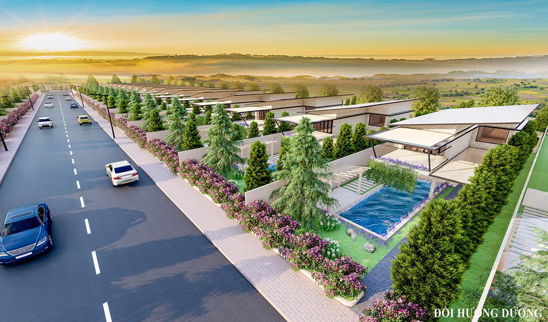 sunflower hill bảo lộc - đồi hoa hướng dương