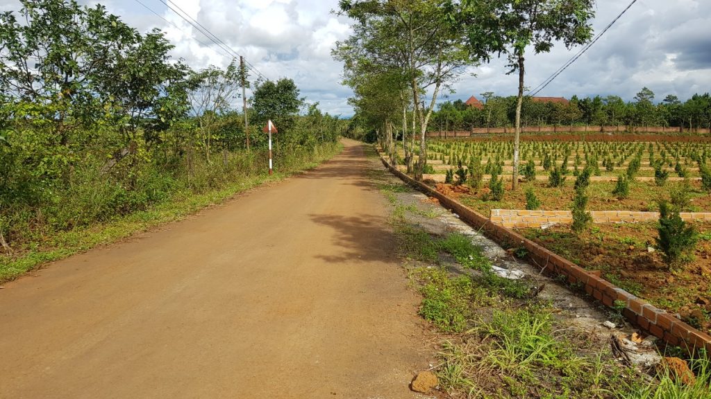 tiến độ dự án đồi hướng dương