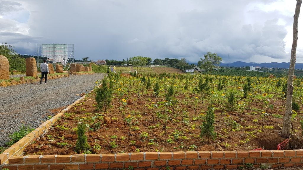 tiến độ dự án sunflower hill đồi hoa hướng dương