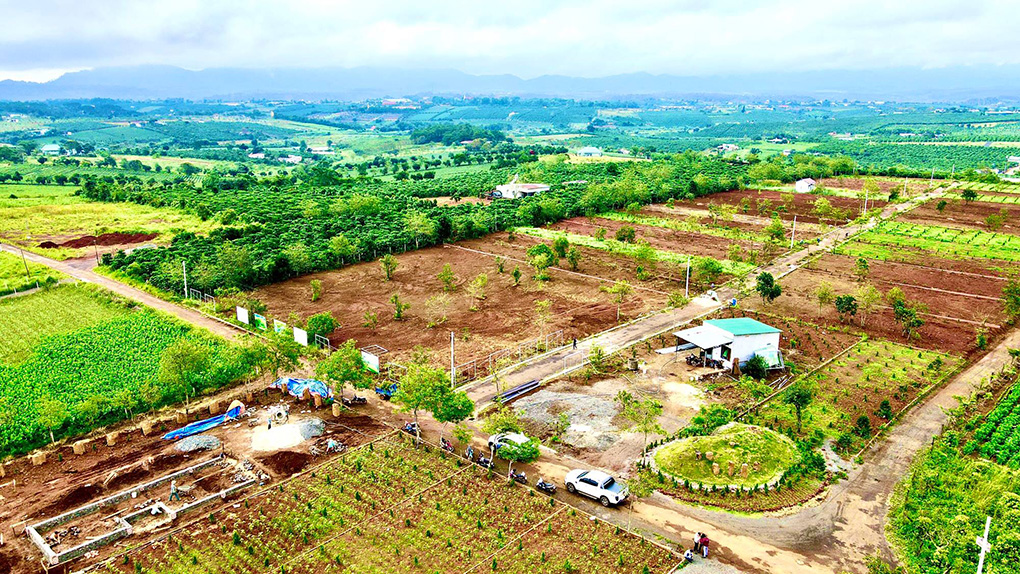 tiến độ dự án sunflower hill đồi hoa hướng dương
