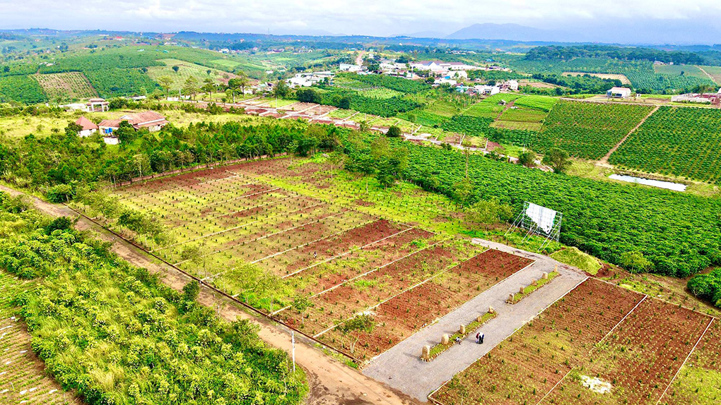 tiến độ dự án sunflower hill đồi hoa hướng dương