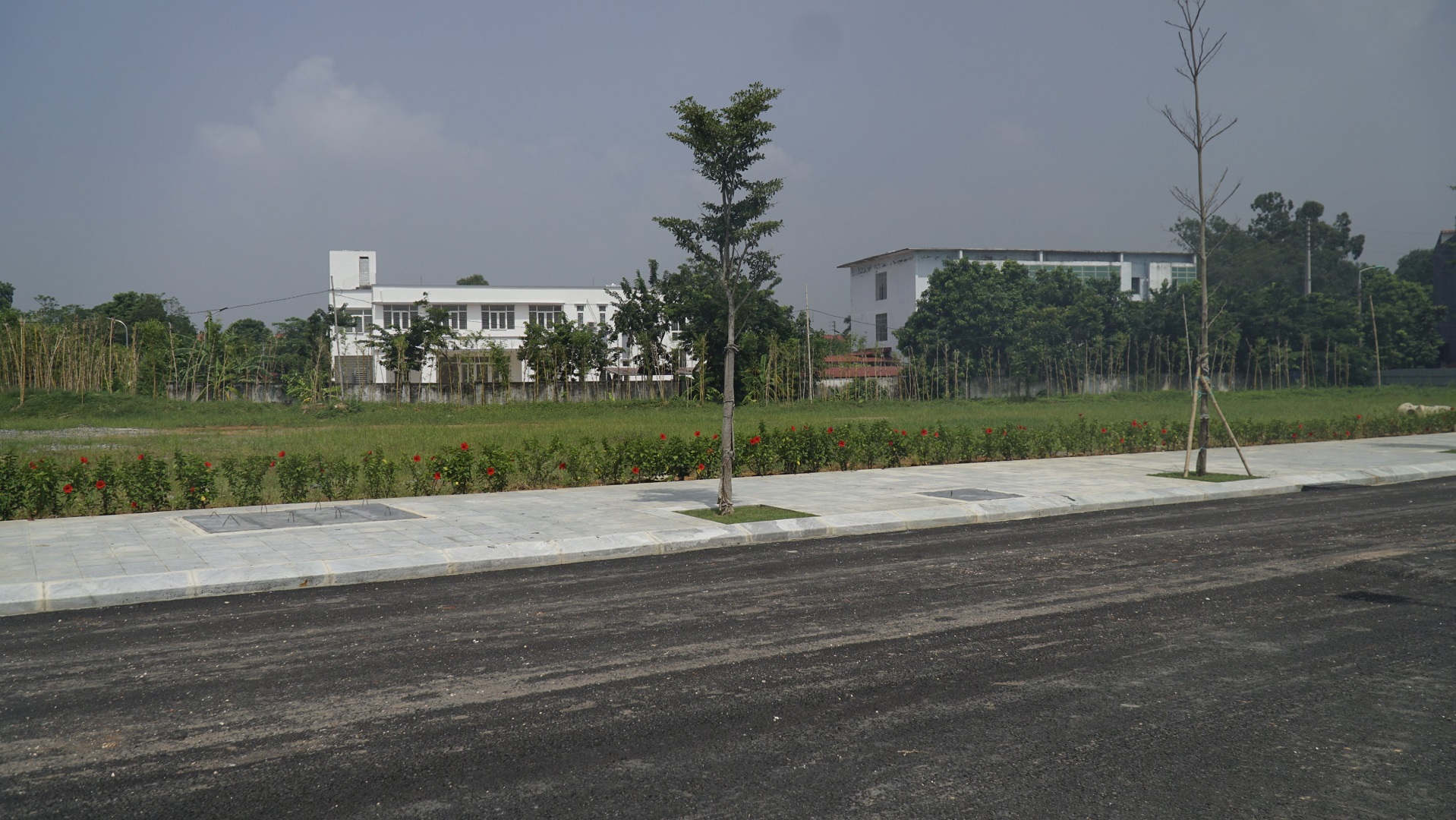 tiến độ thực tế dự án