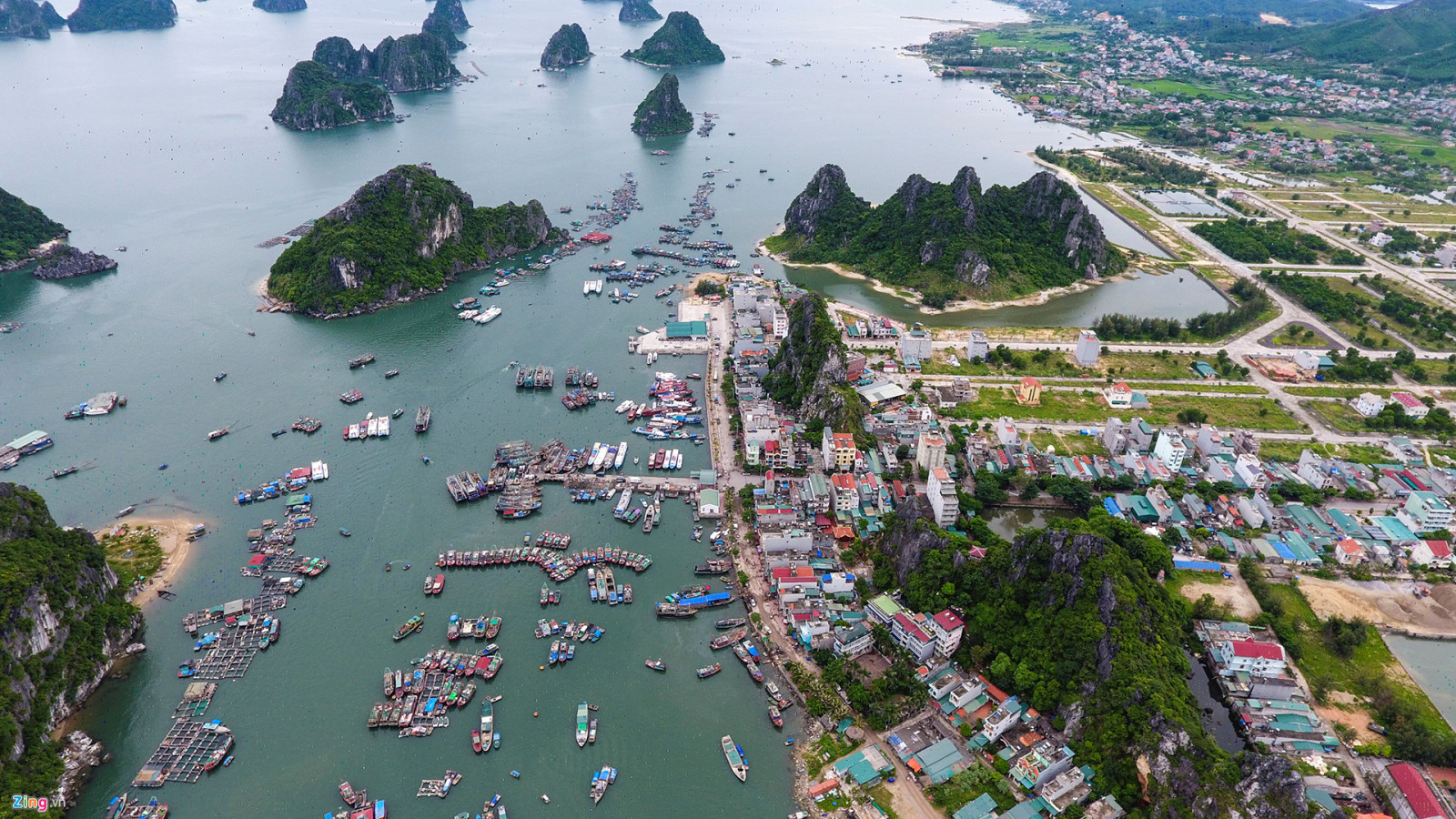 dự án thống nhất vân đồn