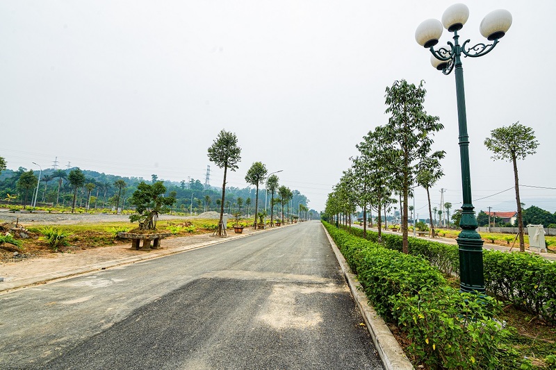 ảnh thực tế dự án