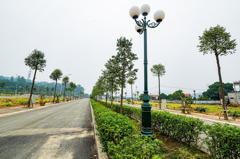 ảnh thực tế dự án