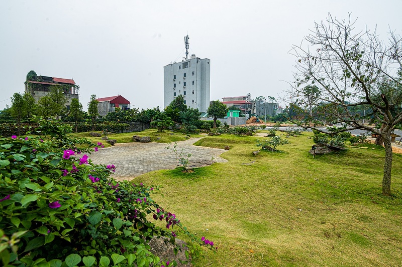 ảnh thực tế dự án