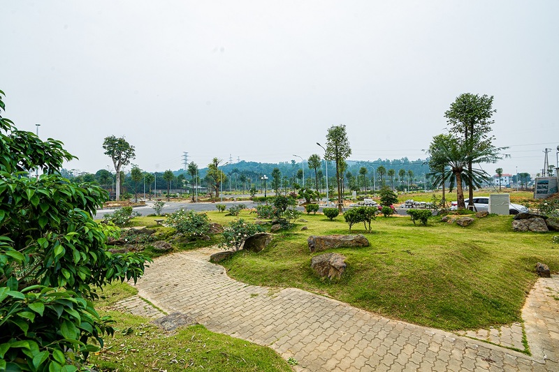 ảnh thực tế dự án