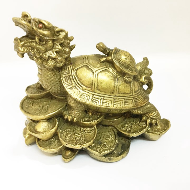 Long Quy (Rùa đầu rồng) Long Quy (Rùa đầu rồng)