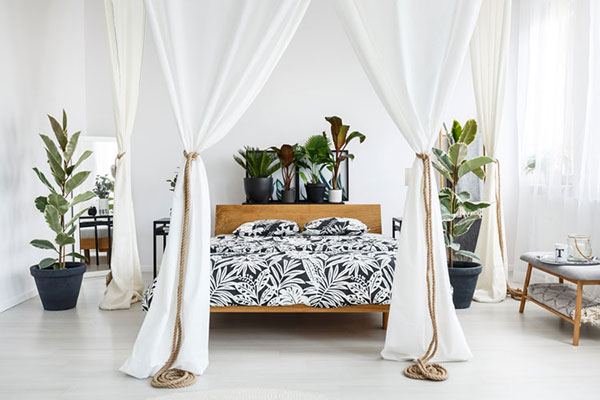 Nên trồng 3 - 4 chậu cây mini để bàn trong phòng ngủ Nên trồng 3 - 4 chậu cây mini để bàn trong phòng ngủ