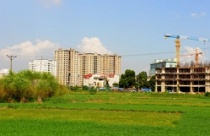 Thiết kế phòng ngủ cho bé với sắc xanh