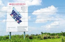 ĐBSCL: Chỉ thu hồi được 62 ha/800.000 ha đất sai phạm 