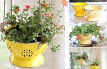 Ý tưởng sáng tạo mang cây xanh vào không gian sống