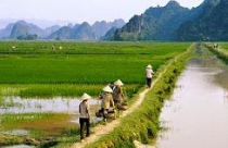 Bỏ thời hạn sử dụng đất nông nghiệp: Nên hay không? 