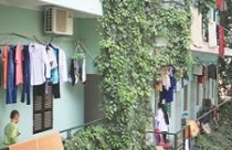 Chung cư mini: Vẫn "tắc" sổ đỏ 