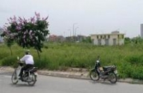Thủ tướng yêu cầu kiểm tra "đất vàng" bỏ hoang 