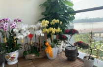 Xung phong giải toả, không cần biết dân đi đâu