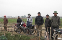 Dân khổ vì tỉnh "ngại" thu hồi đất dự án Vinashin