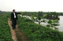 Không đồng ý việc UBND Tiên Lãng cho ông Vươn thuê đất 5 năm