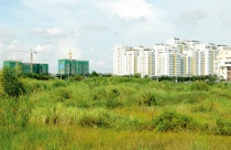 Cần chế tài thu hồi đất không bồi thường