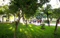 Công viên "phức hợp"(?!)