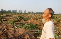 Bản chất hai vụ Tiên Lãng-Văn Giang khác nhau!