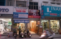 Trang trí nội ngoại thất với cây dương xỉ