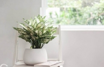 Hà Nội xử nghiêm tham nhũng đất đai