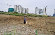 Nhà phố thân thiện với môi trường tại Đà Nẵng