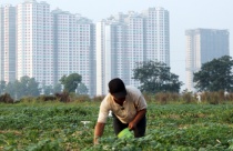 Gói hỗ trợ mua nhà giá rẻ: Ngân hàng quá chắc, người dân khó vay