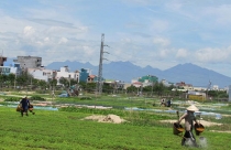 Vật vã Trong Chung Cư (*): Bế tắc kế mưu sinh
