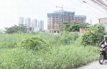 Hà Nội đề xuất cho sử dụng tạm thời đất “treo”