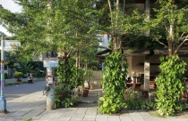 Quán cafe 3 tầng như khu vườn nhỏ xinh gây sốt tại phố cổ Hội An