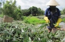 Nghịch lý: “Con nợ” ra yêu sách với người cho mượn tiền