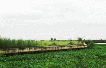 Nơi “bão golf” đi qua (kỳ cuối)