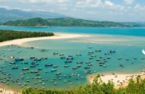 Chuyển 38 ha đất rừng phòng hộ để thực hiện dự án Vịnh Hòa Emerald’’Bay Resort