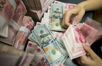 Nên giao cho các hiệp hội cấp chứng chỉ môi giới BĐS
