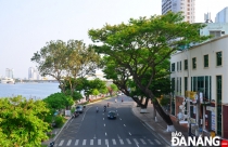 Đà Nẵng xây dựng hình mẫu thành phố môi trường