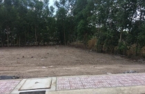 Ăn theo sân bay, nở rộ “phân lô bán nền” trên đất nông nghiệp