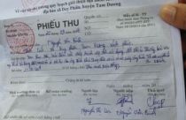 Tam Dương (Vĩnh Phúc): Tự ý chuyển đổi mục đích hàng ngàn mét vuông đất