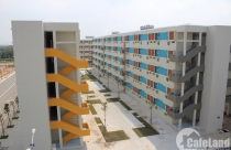 Bỏ 1,8 tỷ đồng mua căn nhà nát, 4 tháng sau lãi thần tốc 1,5 tỷ đồng