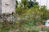 Lao vào cơn sốt đất ảo, vợ chồng nuốt nước mắt nhìn tài sản 'đội nón ra đi'