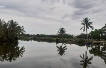 Chủ tịch tỉnh Quảng Nam Lê Trí Thanh: “Sông Cổ Cò phải là tài sản vô giá cho thế hệ tương lai”
