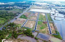 Bà Rịa – Vũng Tàu thu hồi hơn 766ha đất tại Vũng Tàu và huyện Đất Đỏ để đấu giá