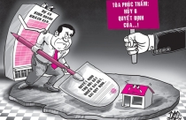 TP.HCM yêu cầu UBND huyện Bình Chánh xử lý nghiêm xây dựng trên đất nông nghiệp
